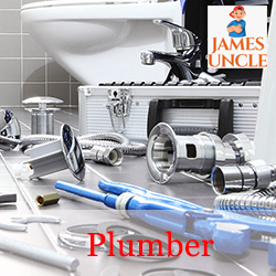 Plumber Mr. Biswajit Das in Chakdaha